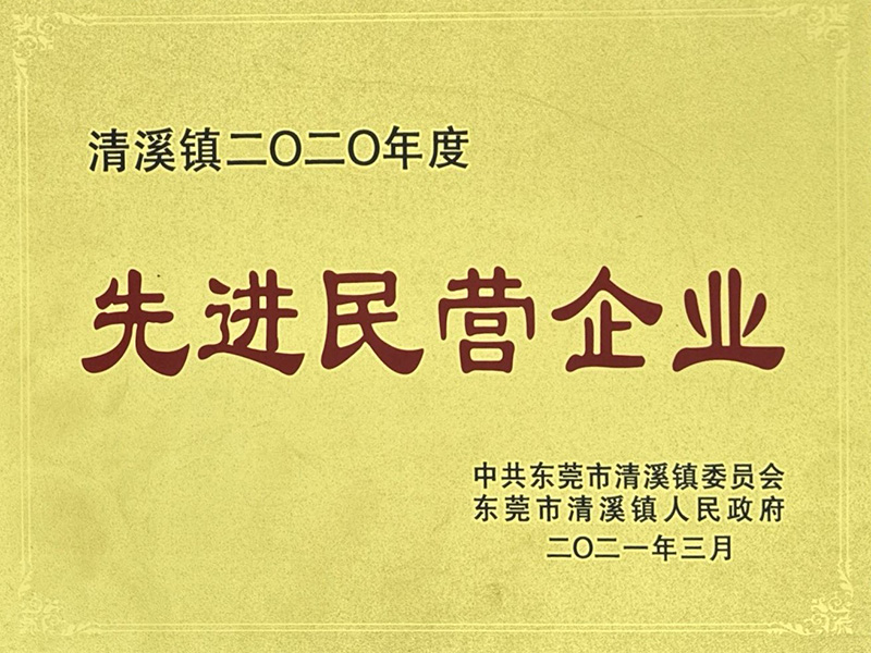 先进民营企业